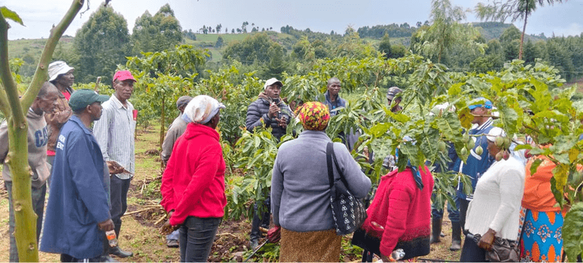 Highland farmers learn regenerative agriculture hands-on